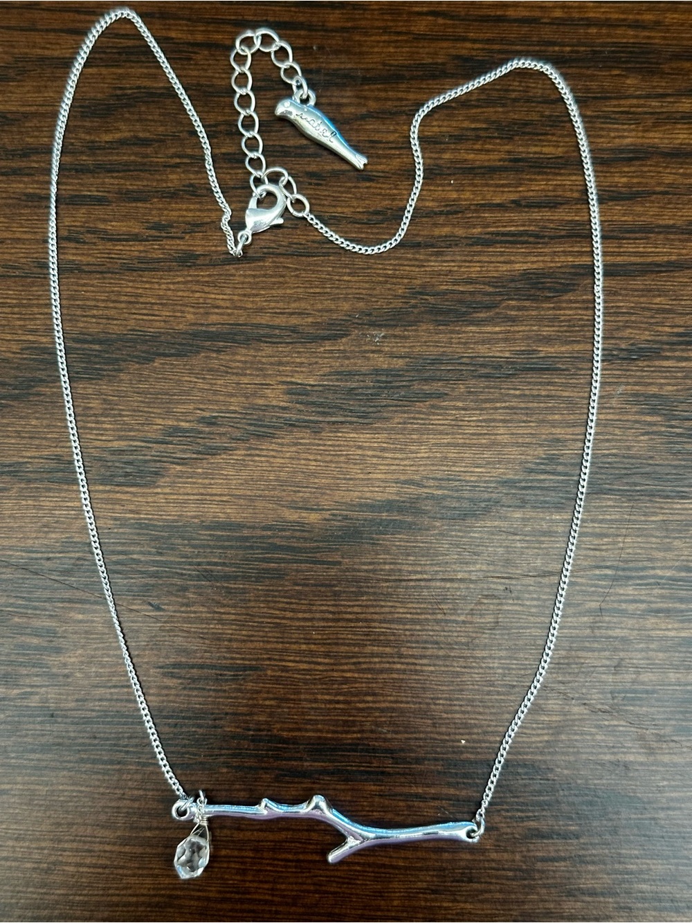 Chloe + Isabel Silver Branch Necklace with Clear Crystal Drop